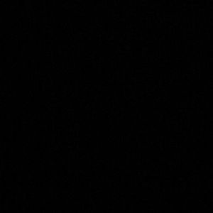 Meet your Posher, Lilah